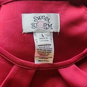 Sweet Storm Berry Asymmetrical Women's Dress